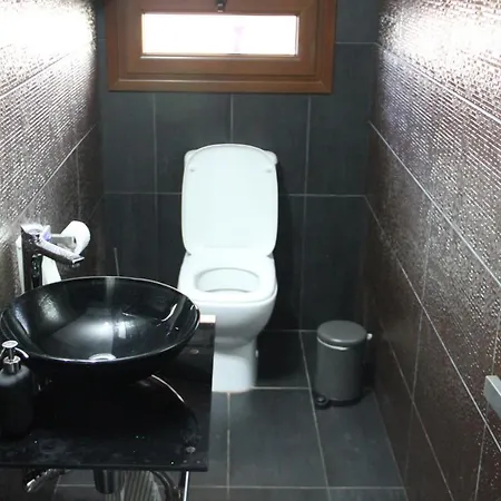 Purple Protaras - Willa